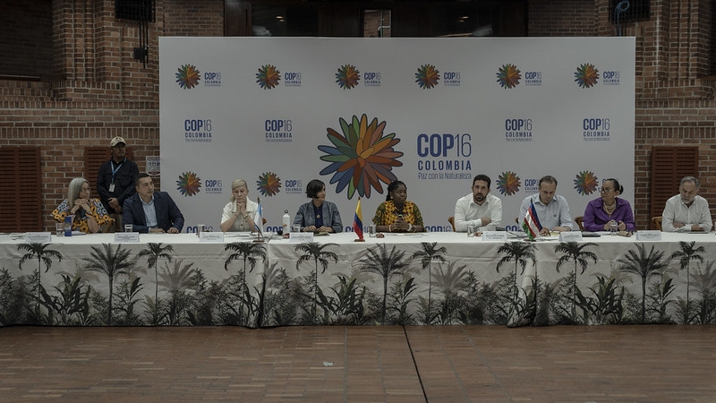 Mesa directiva del segundo comité organizador de la COP16. La seguridad es una de las prioridades.